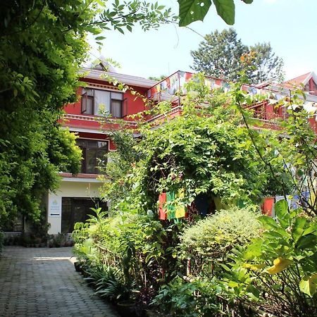 Rokpa Guest House Kathmandu Exterior foto